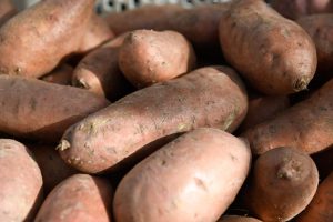 Covington sweetpotato roots